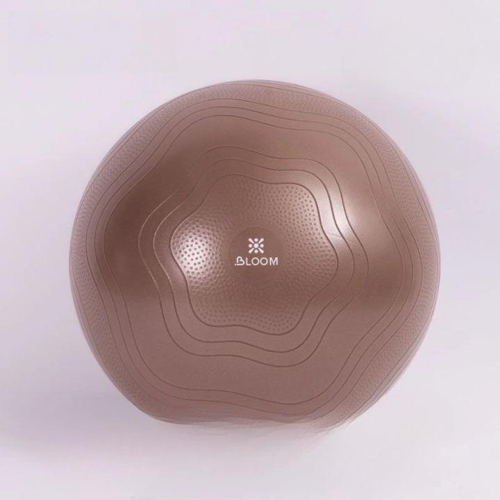 Ballon Pilates Anti-Éclatement en PVC Épais